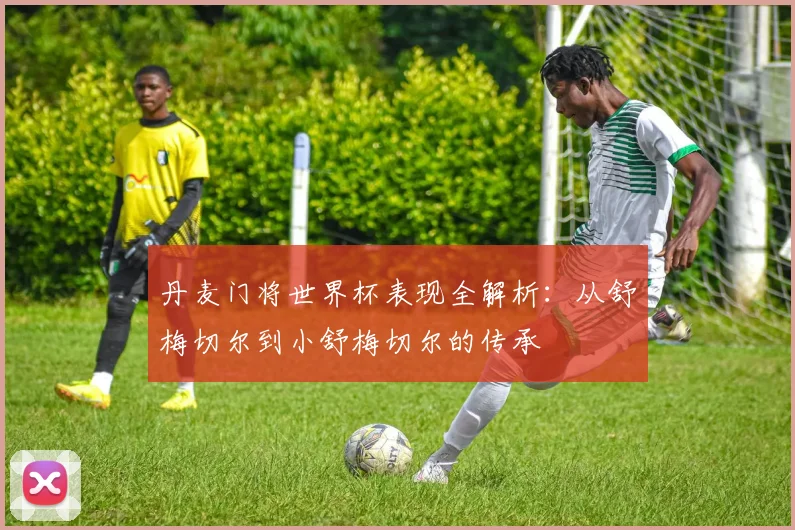 丹麦门将世界杯表现全解析：从舒梅切尔到小舒梅切尔的传承