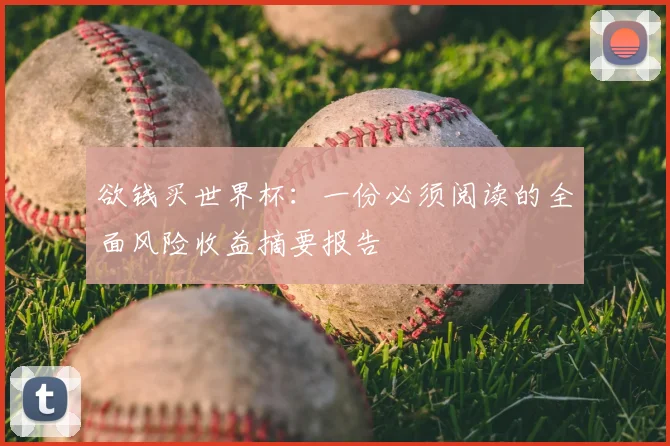 欲钱买世界杯：一份必须阅读的全面风险收益摘要报告