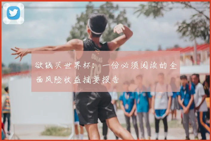 欲钱买世界杯：一份必须阅读的全面风险收益摘要报告