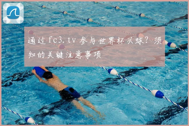 通过 fc3.tv 参与世界杯买球？须知的关键注意事项