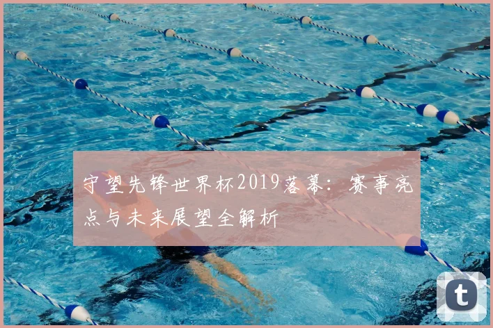 守望先锋世界杯2019落幕:赛事亮点与未来展望全解析