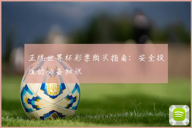 正规世界杯彩票购买指南：安全投注的必备知识